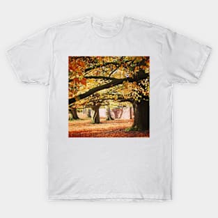 Autumn woodland T-Shirt